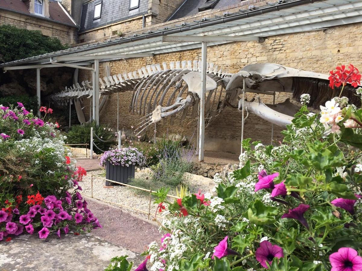 Appartamento Maisonnette avec terrasse à 50m de la plage Luc-sur-Mer Esterno foto